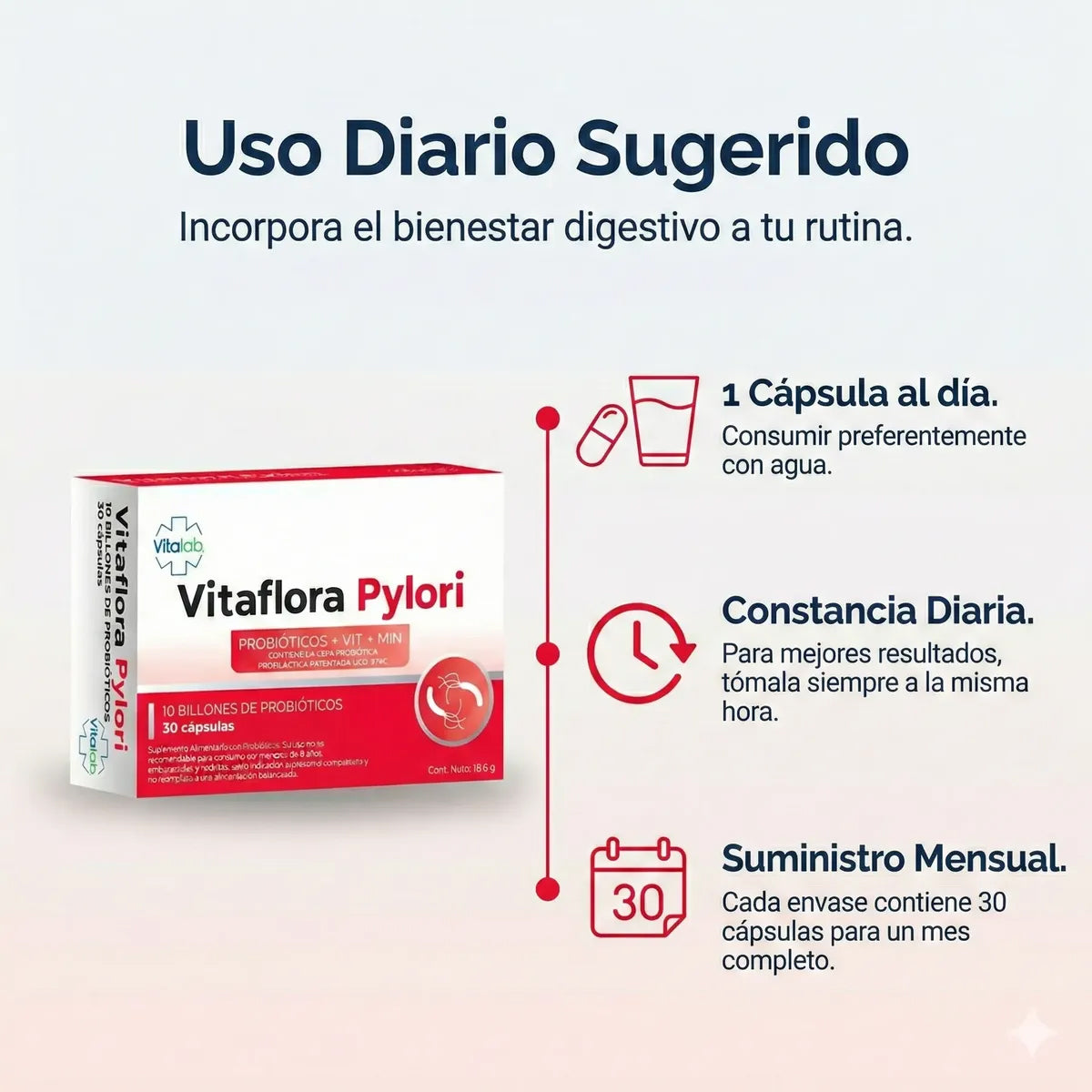 Vitaflora Pylori con Zinc y Magnesio Vitalab 30 Cáps
