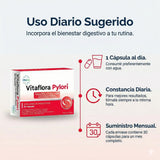 Vitaflora Pylori con Zinc y Magnesio Vitalab 30 Cáps